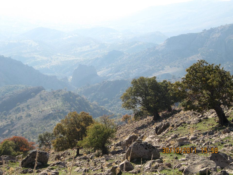 Nejdet AÃƒÂƒÃ‚Â„ÃƒÂ‚Ã‚ÂŸabey'in Objektif 038.jpg