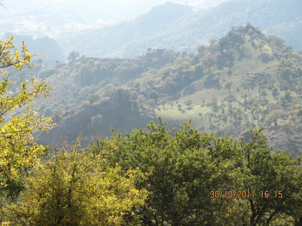 Nejdet AÃƒÂƒÃ‚Â„ÃƒÂ‚Ã‚ÂŸabey'in Objektif 041.jpg