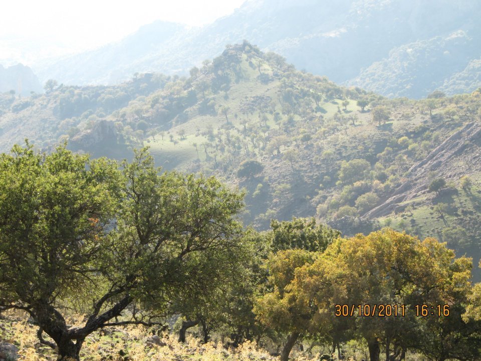 Nejdet AÃƒÂƒÃ‚Â„ÃƒÂ‚Ã‚ÂŸabey'in Objektif 042.jpg