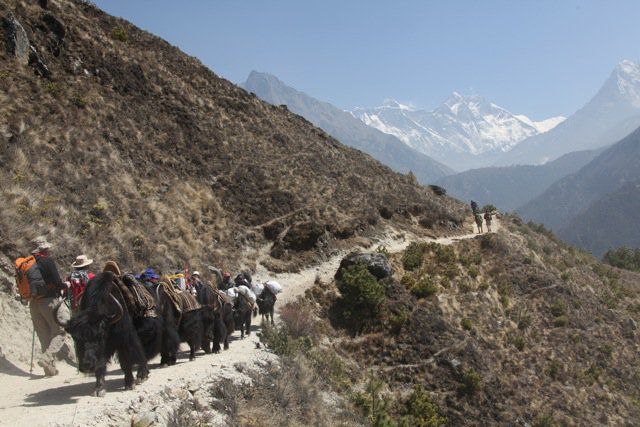 Nepal'den GÃƒÂƒÃ‚ÂƒÃƒÂ‚Ã‚Â¶rÃƒÂƒÃ‚ÂƒÃƒÂ‚Ã‚Â¼ntÃƒÂƒÃ‚ÂƒÃƒÂ‚Ã‚Â¼ler 031.jpg