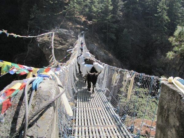 Nepal'den Görüntüler 007.jpg