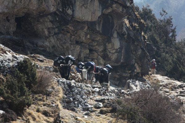 Nepal'den Görüntüler 043.jpg