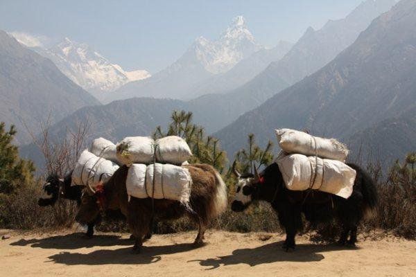 Nepal'den Görüntüler 049.jpg