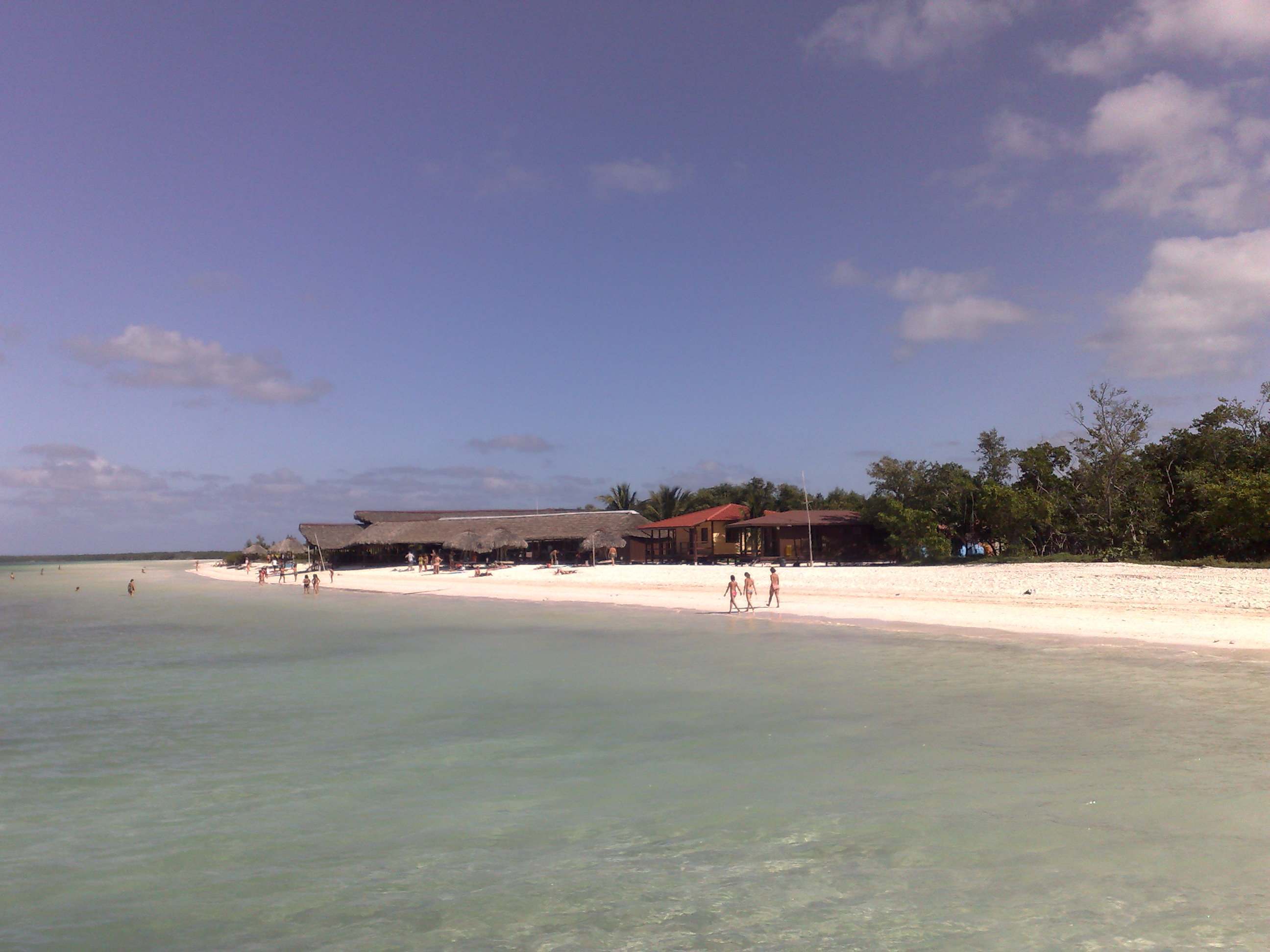 new_08122007190.jpg
