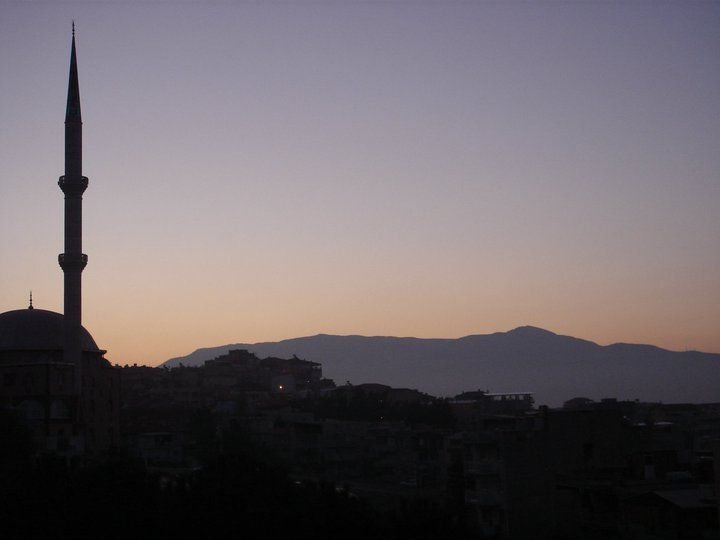 nif0001.jpg
