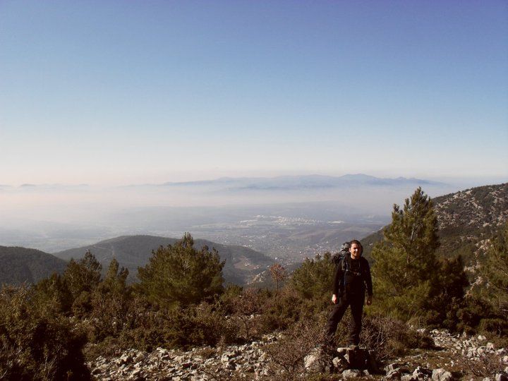 nif0009.jpg