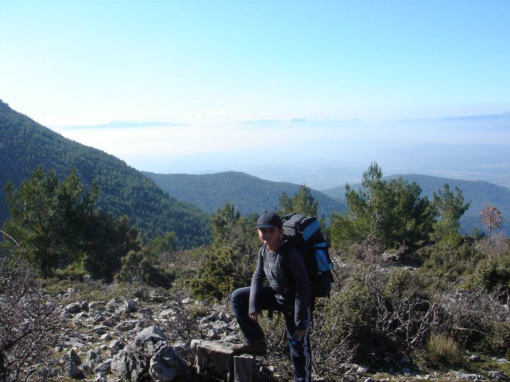 nif0010.jpg