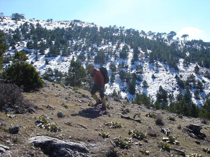 nif0014.jpg