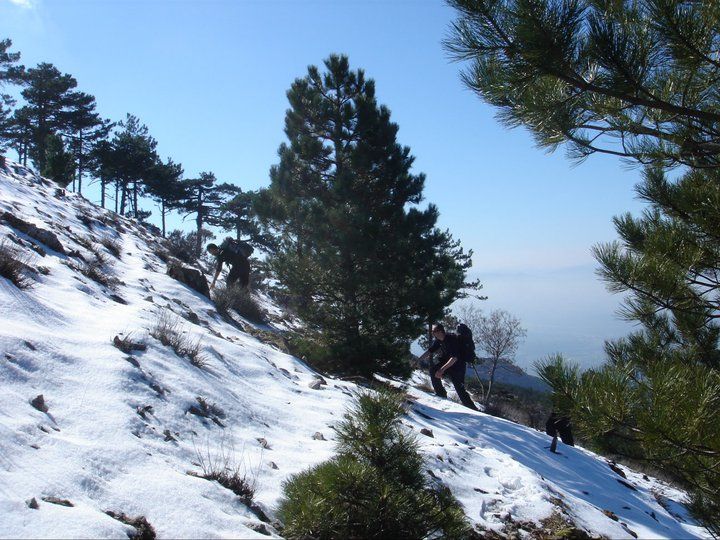 nif0018.jpg