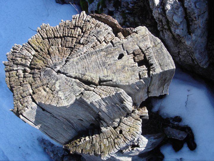 nif0020.jpg
