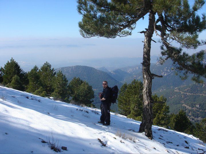nif0022.jpg