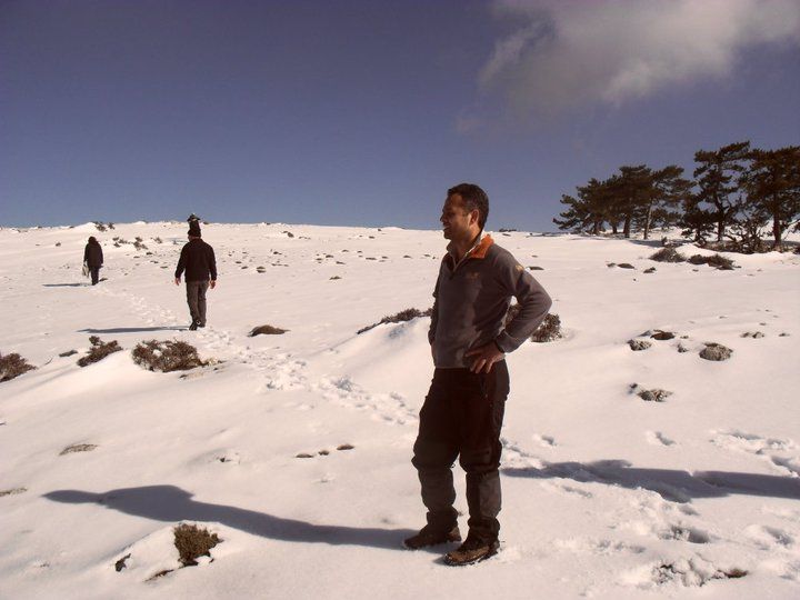 nif0025.jpg