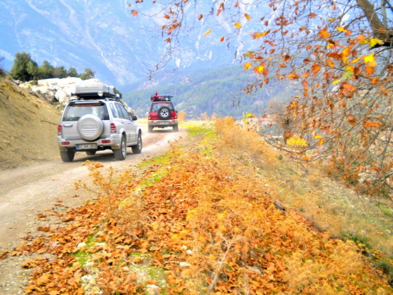 nikon coolpix 127_resize_resize.jpg