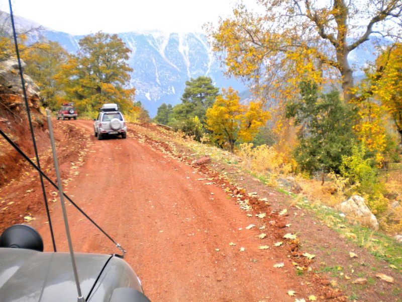 nikon coolpix 170_resize_resize.jpg