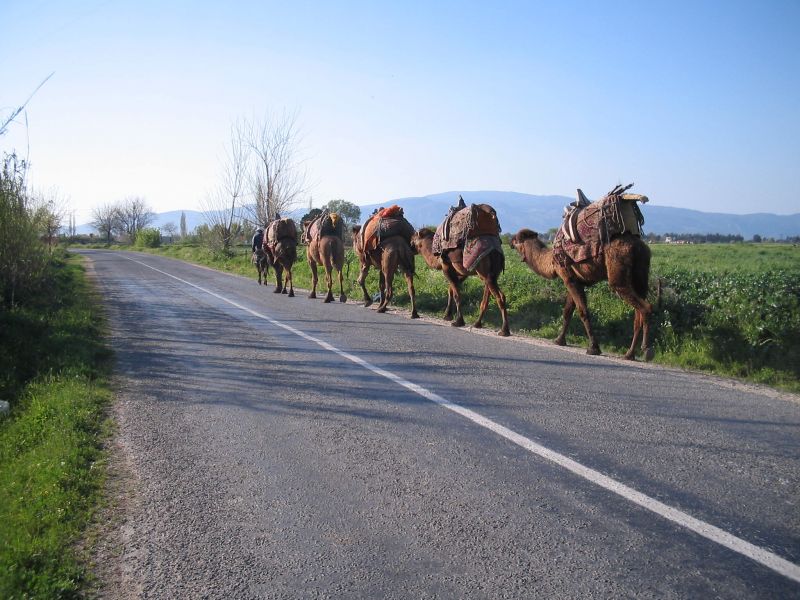 nisan-06 030.jpg