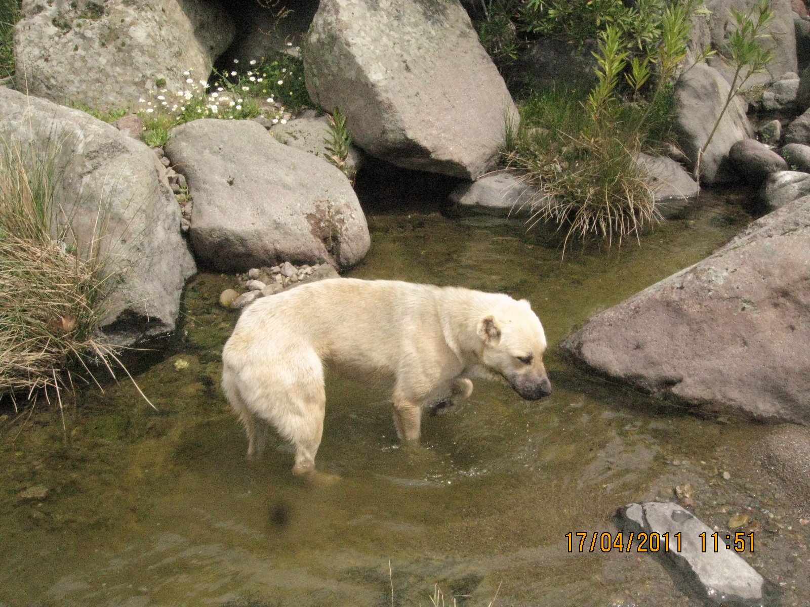 Nisan 2011 Fotolar 014.jpg