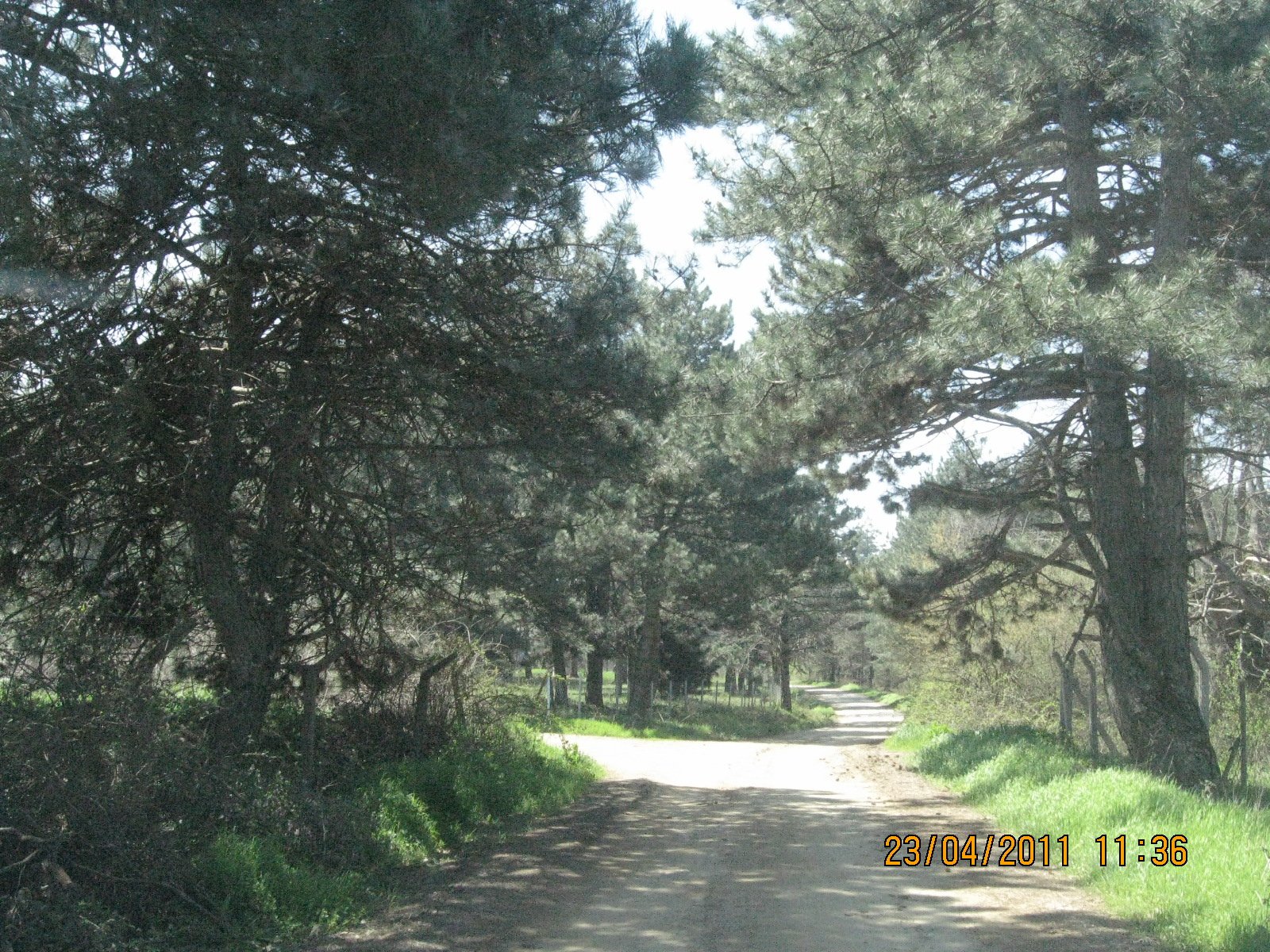 Nisan 2011 Fotolar 100.jpg