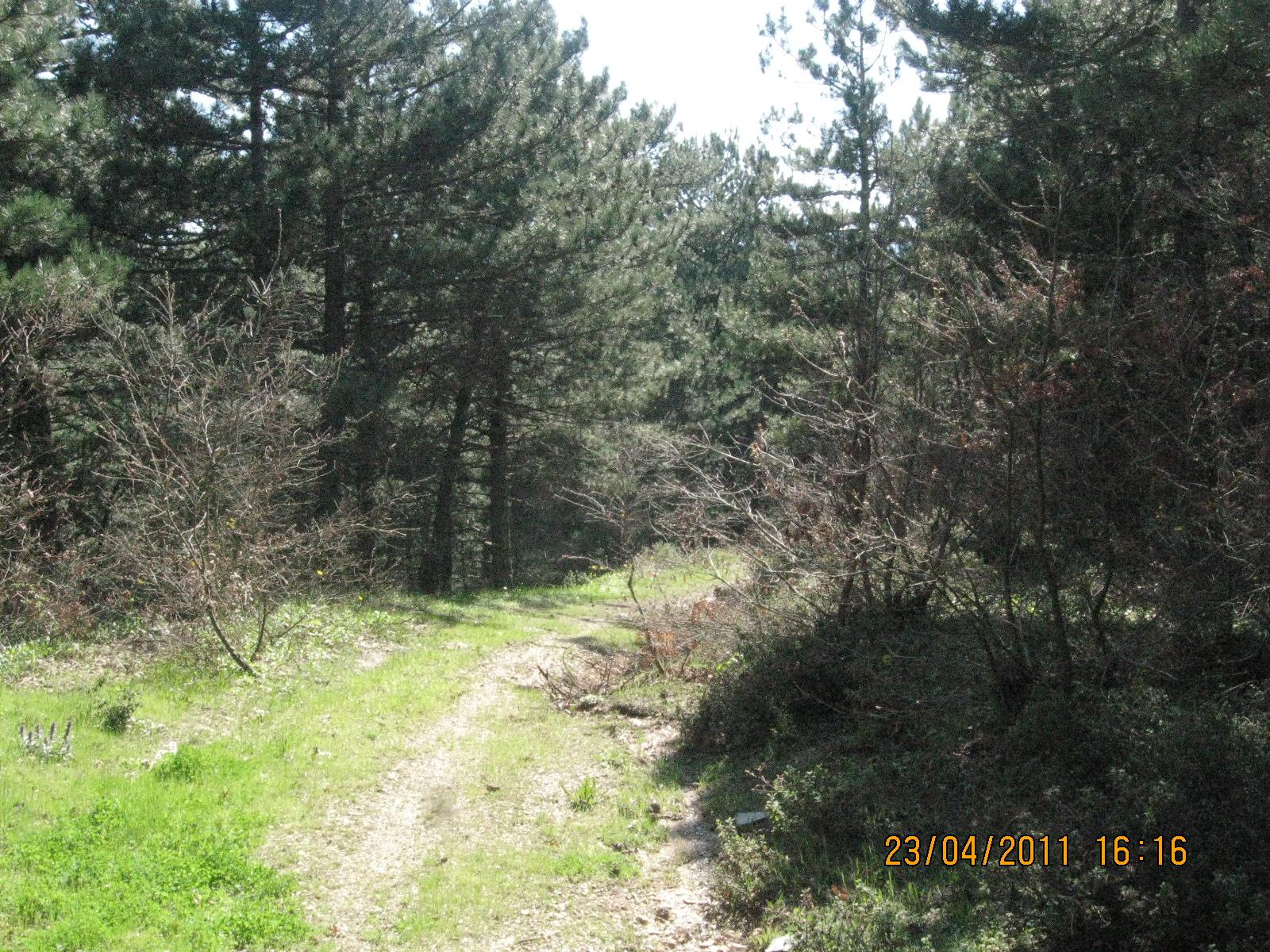 Nisan 2011 Fotolar 111.jpg