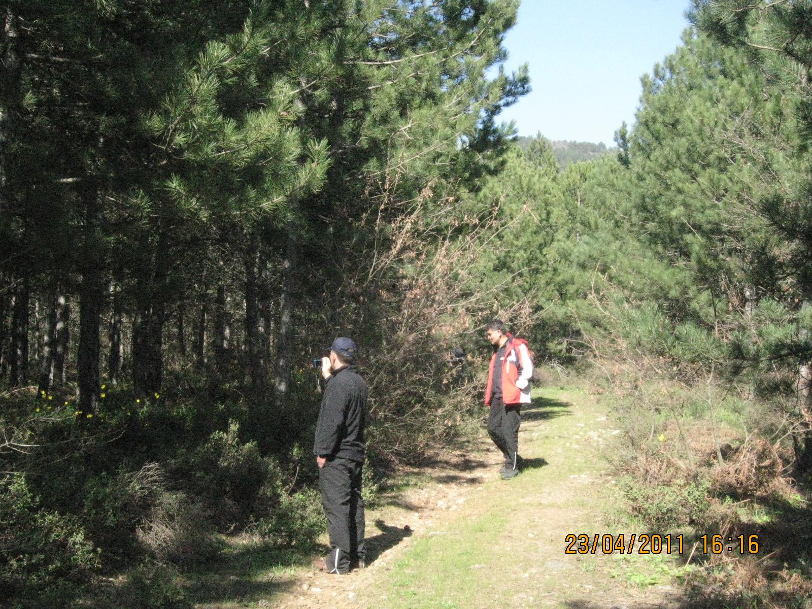 Nisan 2011 Fotolar 112.jpg