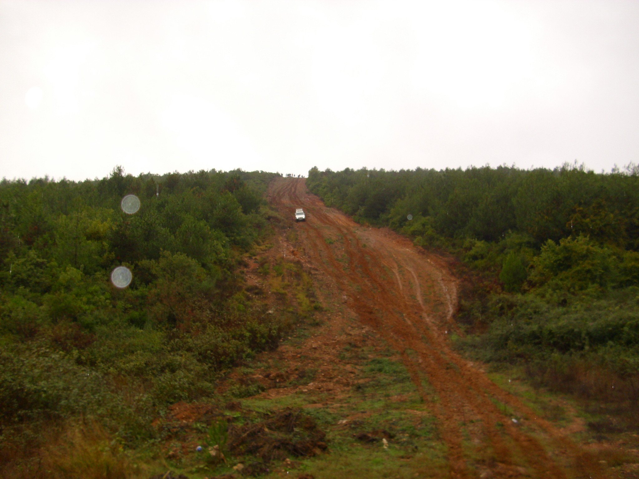 nissan resim 271.jpg