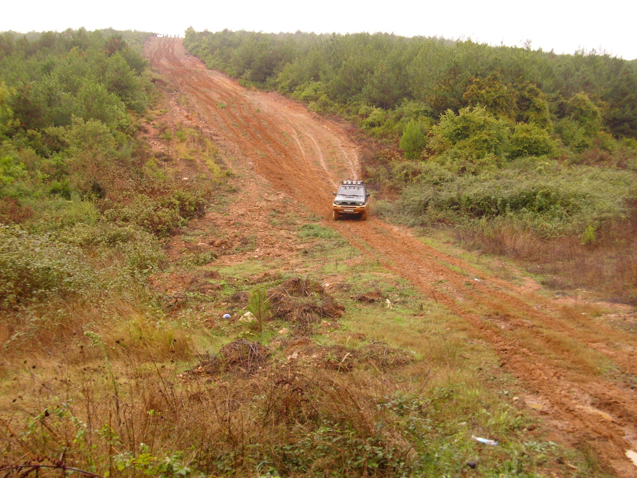 nissan resim 272.jpg