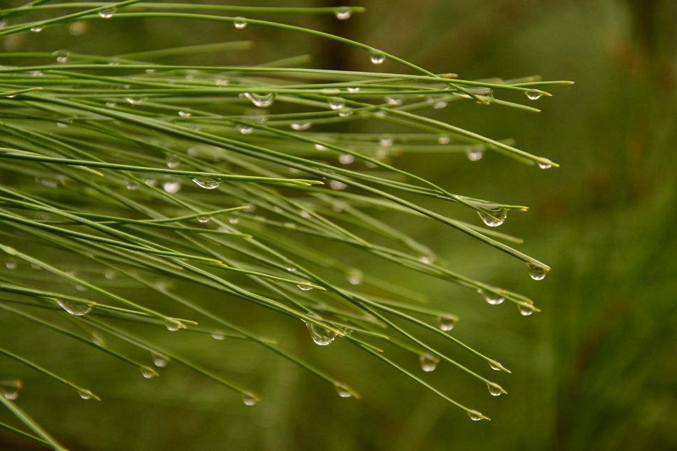 Nurhak'ÃƒÂƒÃ‚Â„ÃƒÂ‚Ã‚Â±n Objektiften BalÃƒÂƒÃ‚ÂƒÃƒÂ‚Ã‚Â§ova 028.jpg