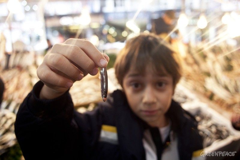 ocuklar-greenpeace-cetvelleri2.jpg