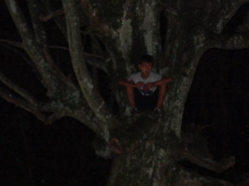 oFF-rOAD YARIÃƒÂƒÃ‚Â…ÃƒÂ‚Ã‚Âž 071 [800x600].jpg