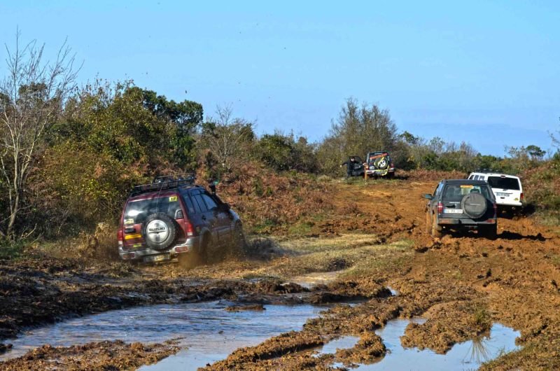 ohhroadfenermerasoffroad82.jpg