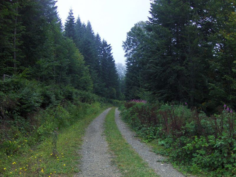 okÃƒÂƒÃ‚ÂƒÃƒÂ‚Ã‚Â§ular bolu.jpg