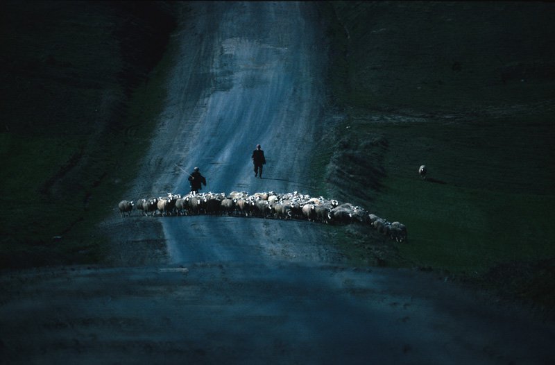 on_the_road.jpg