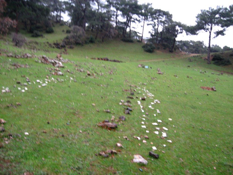 Onur - DoÃƒÂƒÃ‚Â„ÃƒÂ‚Ã‚ÂŸanÃƒÂƒÃ‚ÂƒÃƒÂ‚Ã‚Â§ay 309.jpg