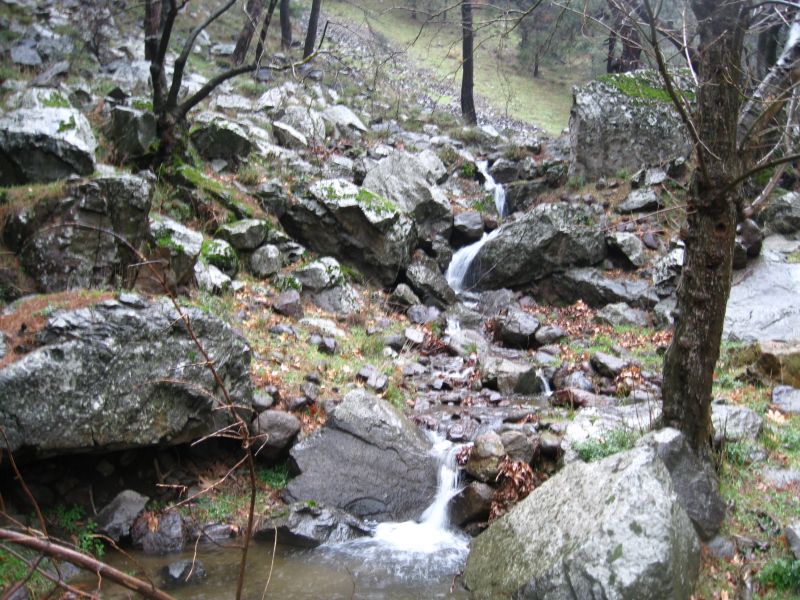 Onur - DoÃƒÂƒÃ‚Â„ÃƒÂ‚Ã‚ÂŸanÃƒÂƒÃ‚ÂƒÃƒÂ‚Ã‚Â§ay 347.jpg
