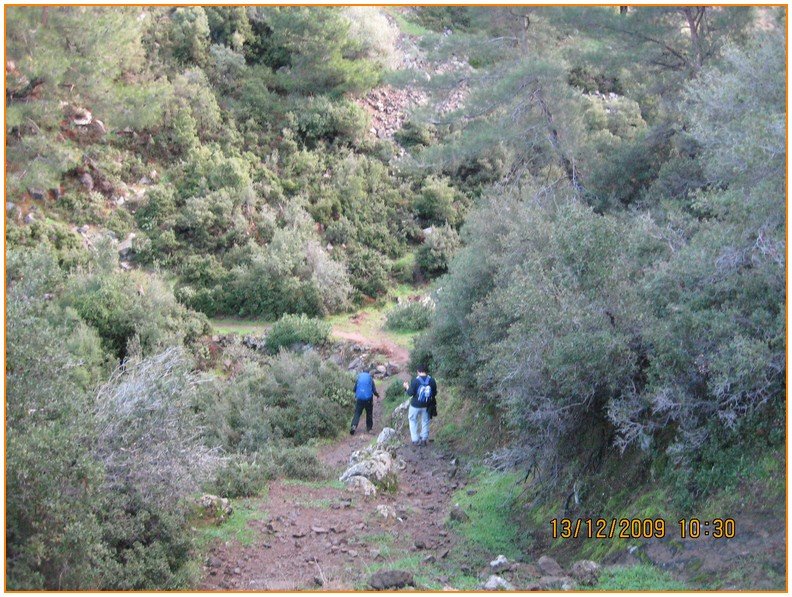 Onur - DoÃƒÂƒÃ‚Â„ÃƒÂ‚Ã‚ÂŸanÃƒÂƒÃ‚ÂƒÃƒÂ‚Ã‚Â§ay 542.jpg