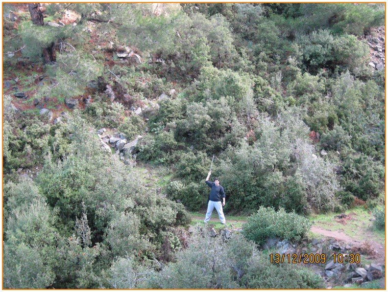 Onur - DoÃƒÂƒÃ‚Â„ÃƒÂ‚Ã‚ÂŸanÃƒÂƒÃ‚ÂƒÃƒÂ‚Ã‚Â§ay 543.jpg