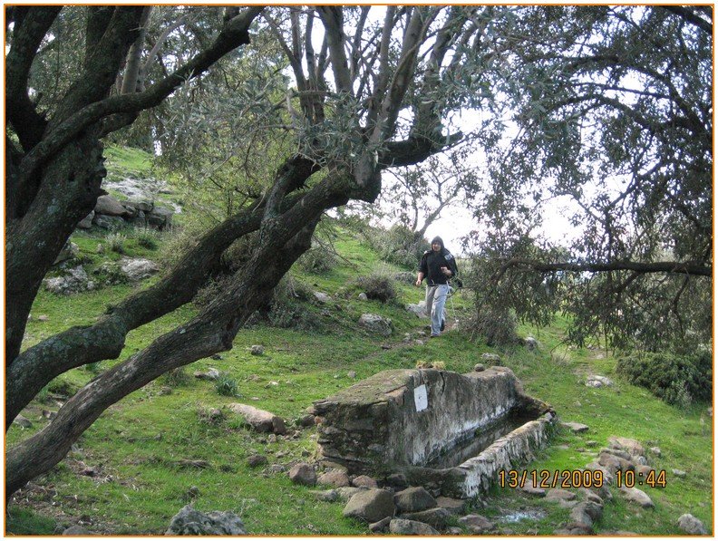 Onur - DoÃƒÂƒÃ‚Â„ÃƒÂ‚Ã‚ÂŸanÃƒÂƒÃ‚ÂƒÃƒÂ‚Ã‚Â§ay 546.jpg