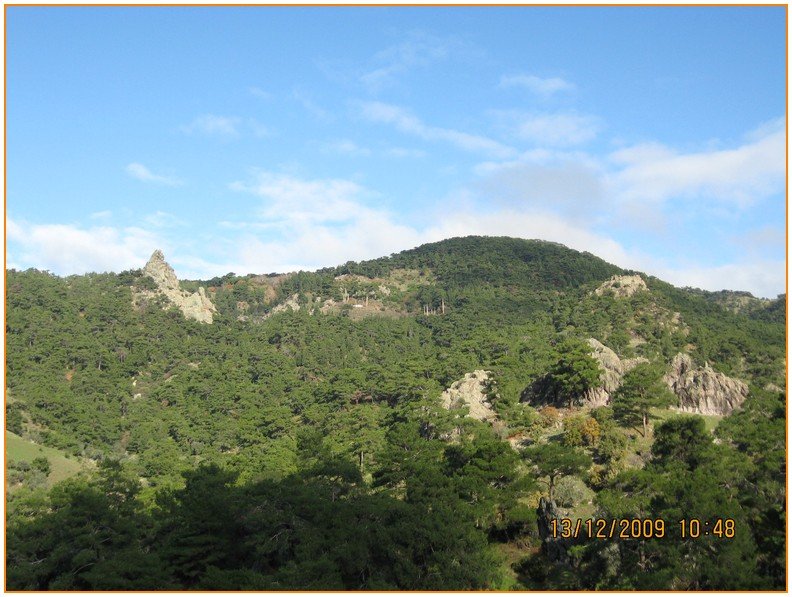 Onur - DoÃƒÂƒÃ‚Â„ÃƒÂ‚Ã‚ÂŸanÃƒÂƒÃ‚ÂƒÃƒÂ‚Ã‚Â§ay 547.jpg