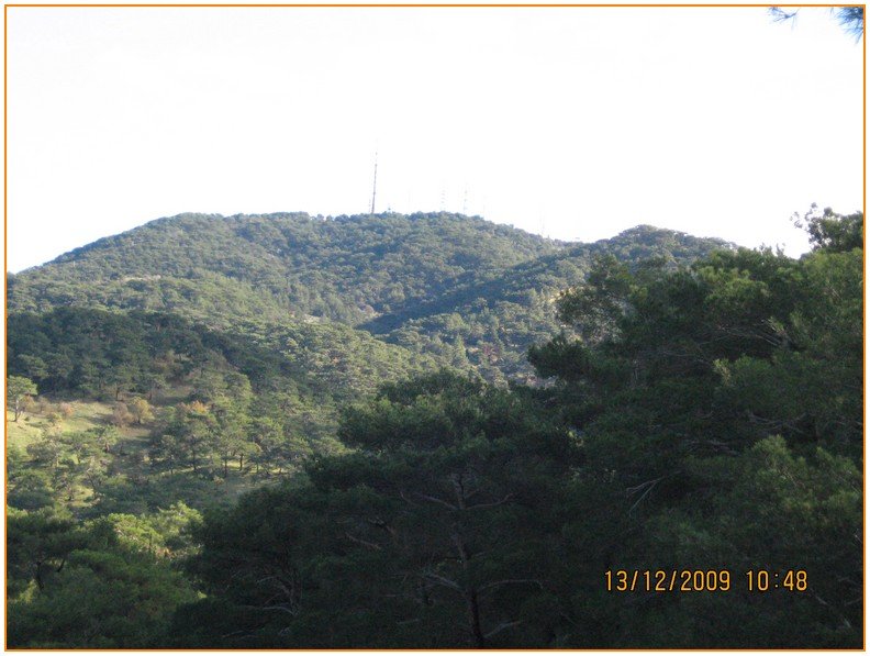 Onur - DoÃƒÂƒÃ‚Â„ÃƒÂ‚Ã‚ÂŸanÃƒÂƒÃ‚ÂƒÃƒÂ‚Ã‚Â§ay 549.jpg