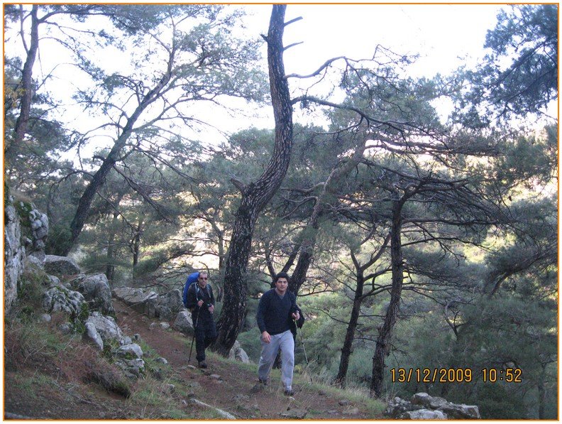 Onur - DoÃƒÂƒÃ‚Â„ÃƒÂ‚Ã‚ÂŸanÃƒÂƒÃ‚ÂƒÃƒÂ‚Ã‚Â§ay 550.jpg