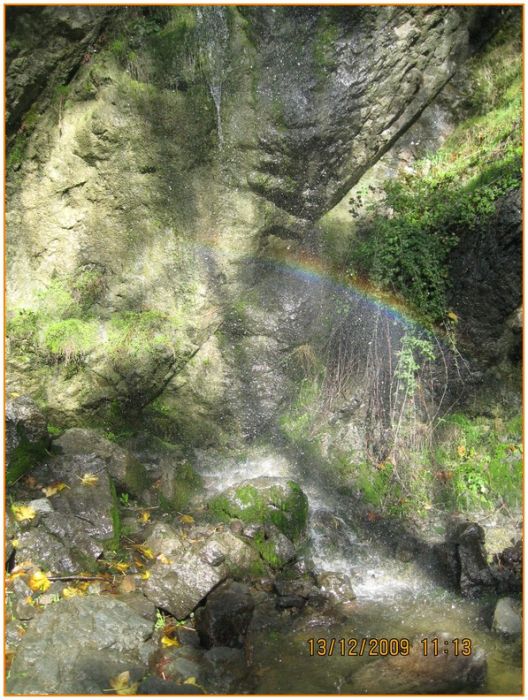 Onur - DoÃƒÂƒÃ‚Â„ÃƒÂ‚Ã‚ÂŸanÃƒÂƒÃ‚ÂƒÃƒÂ‚Ã‚Â§ay 557.jpg