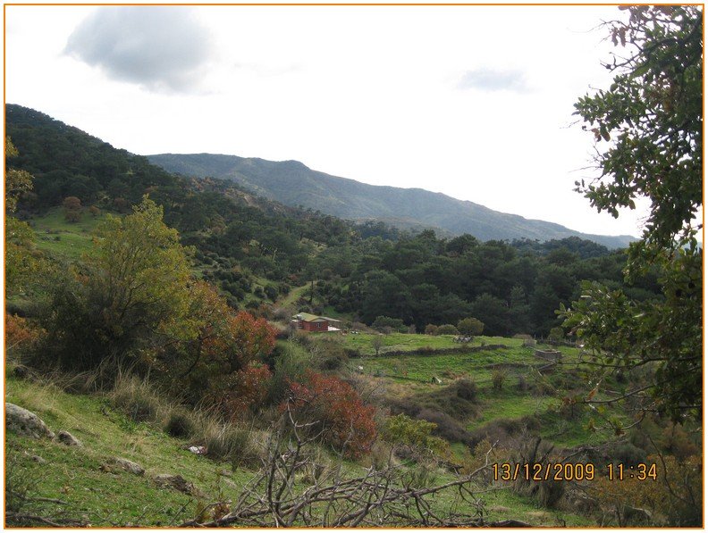 Onur - DoÃƒÂƒÃ‚Â„ÃƒÂ‚Ã‚ÂŸanÃƒÂƒÃ‚ÂƒÃƒÂ‚Ã‚Â§ay 559.jpg