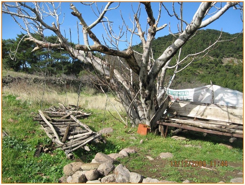 Onur - DoÃƒÂƒÃ‚Â„ÃƒÂ‚Ã‚ÂŸanÃƒÂƒÃ‚ÂƒÃƒÂ‚Ã‚Â§ay 561.jpg