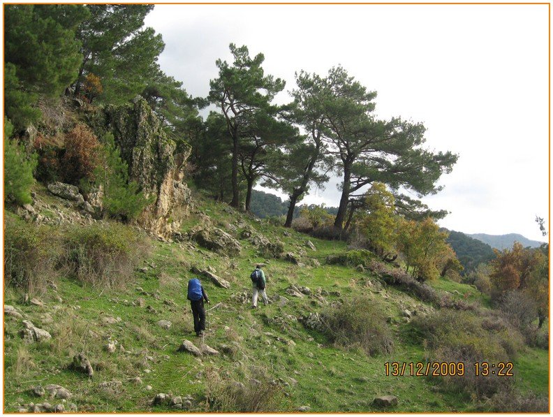 Onur - DoÃƒÂƒÃ‚Â„ÃƒÂ‚Ã‚ÂŸanÃƒÂƒÃ‚ÂƒÃƒÂ‚Ã‚Â§ay 568.jpg