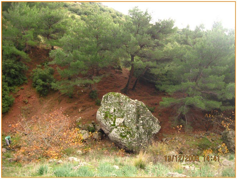 Onur - DoÃƒÂƒÃ‚Â„ÃƒÂ‚Ã‚ÂŸanÃƒÂƒÃ‚ÂƒÃƒÂ‚Ã‚Â§ay 572.jpg