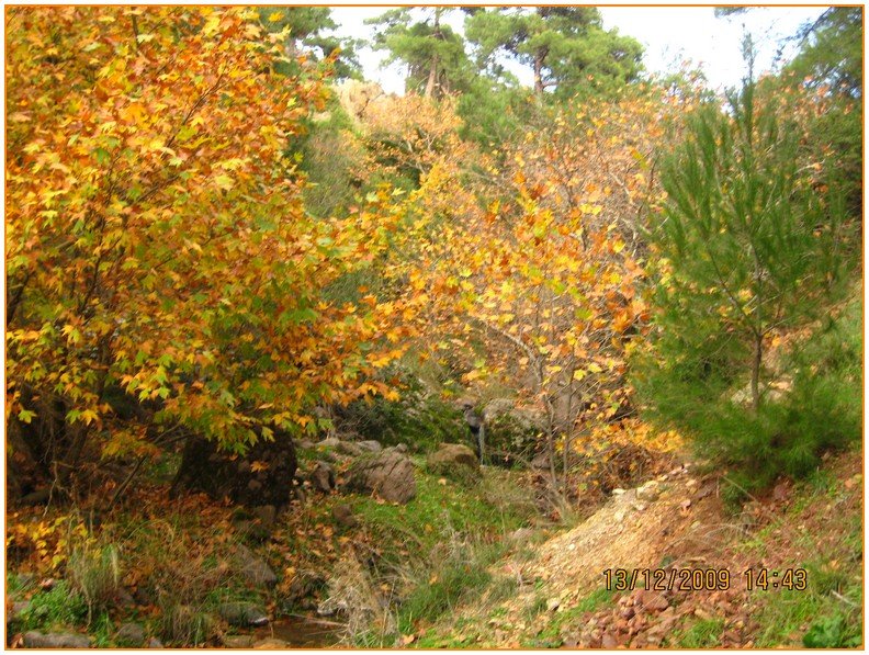 Onur - DoÃƒÂƒÃ‚Â„ÃƒÂ‚Ã‚ÂŸanÃƒÂƒÃ‚ÂƒÃƒÂ‚Ã‚Â§ay 573.jpg