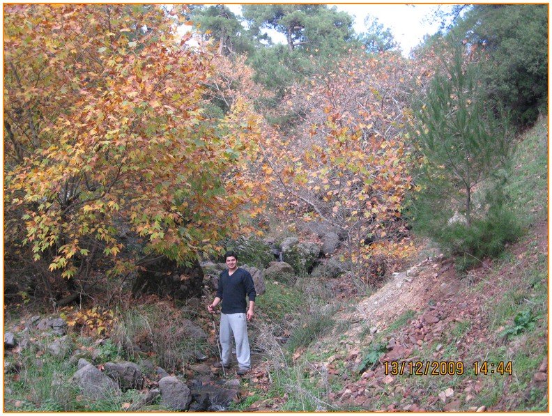 Onur - DoÃƒÂƒÃ‚Â„ÃƒÂ‚Ã‚ÂŸanÃƒÂƒÃ‚ÂƒÃƒÂ‚Ã‚Â§ay 574.jpg