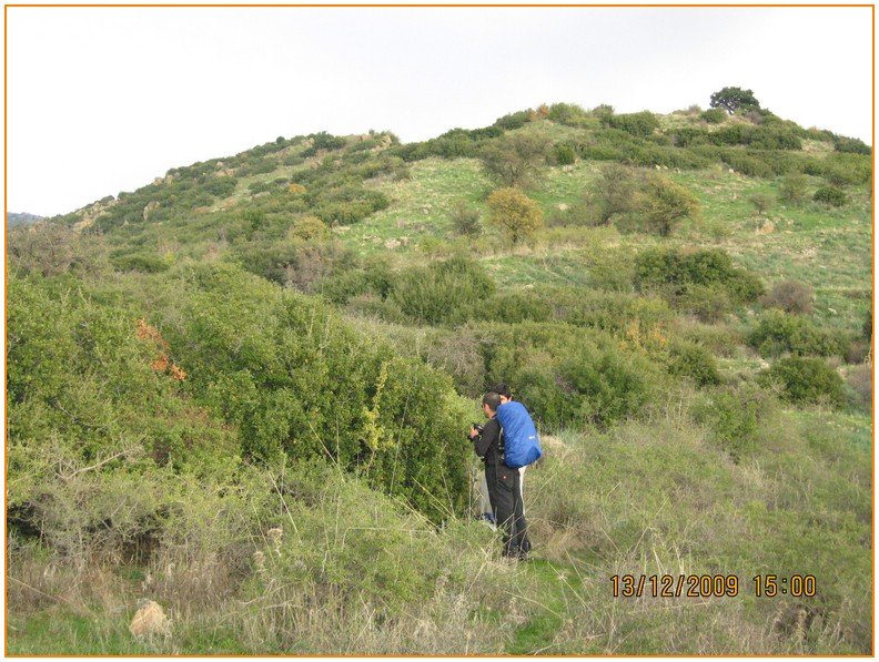 Onur - DoÃƒÂƒÃ‚Â„ÃƒÂ‚Ã‚ÂŸanÃƒÂƒÃ‚ÂƒÃƒÂ‚Ã‚Â§ay 575.jpg