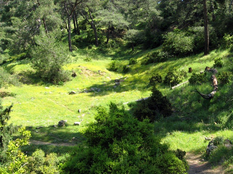 Onur - GÃƒÂƒÃ‚ÂƒÃƒÂ‚Ã‚Â¼vercin 10.05.09 031.jpg