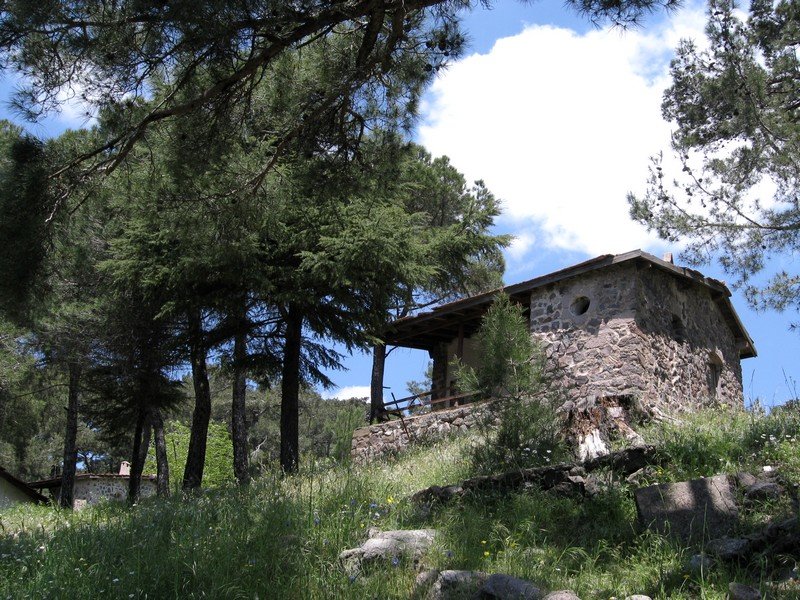 Onur - GÃƒÂƒÃ‚ÂƒÃƒÂ‚Ã‚Â¼vercin 10.05.09 045.jpg