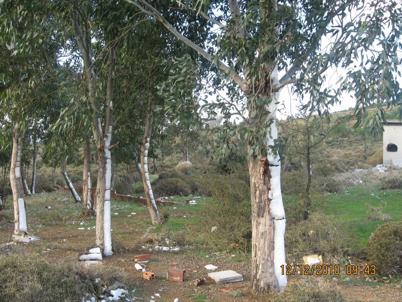 Onur Mah.- DoÃƒÂƒÃ‚Â„ÃƒÂ‚Ã‚ÂŸanÃƒÂƒÃ‚ÂƒÃƒÂ‚Ã‚Â§ay 12.12.2010 060.jpg